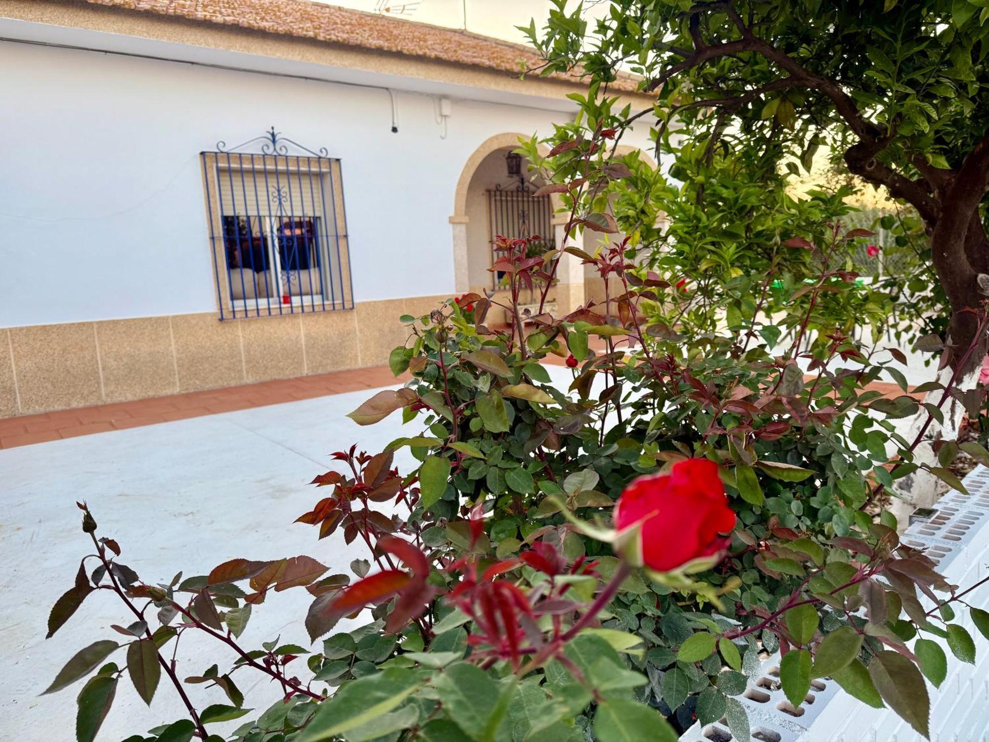 Villa La Casa Del Flamenco Cañada del Rabadán Exterior foto