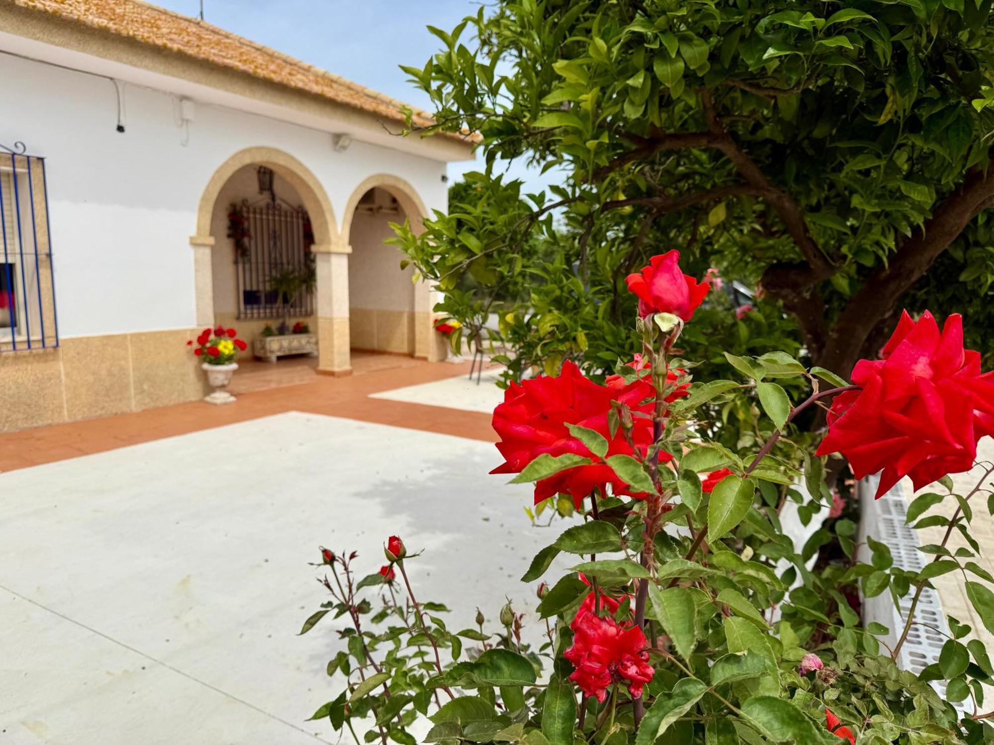 Villa La Casa Del Flamenco Cañada del Rabadán Exterior foto