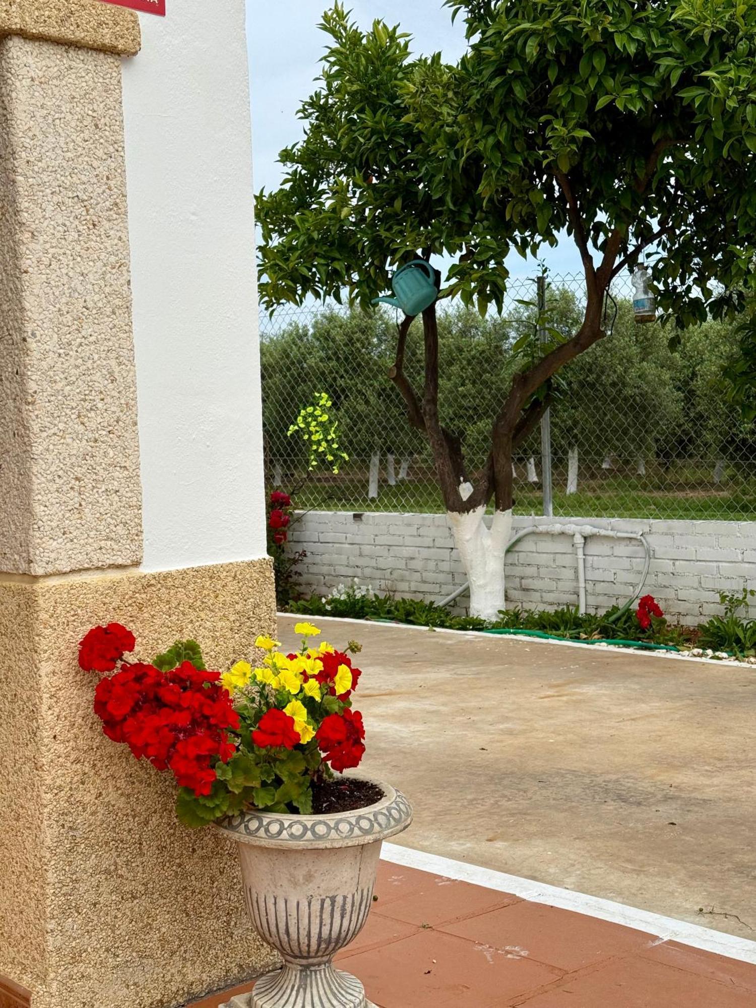 Villa La Casa Del Flamenco Cañada del Rabadán Exterior foto